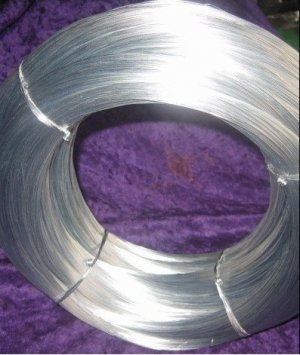 Hot Dipped Galvanized Steel Wire