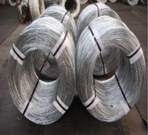 Oval Galvanized Wire (Factory & Export)