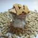 Natural Pet Treats