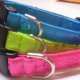 Designer Collars
