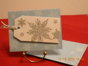 Silver Snowflake