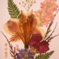 Alstromeria card