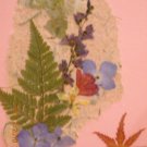 Hydrangea~maple leaf card