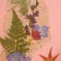 Hydrangea~maple leaf card