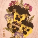 Pansies