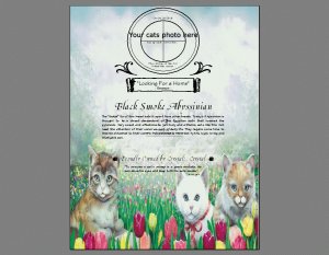 Proud Pedigrees - Keepsakes for Cat Lovers