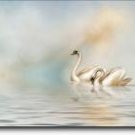Swan Lake