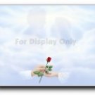 Hands in Sky