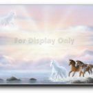 Stallions Crossing