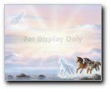 Stallions Crossing