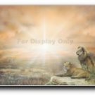 Lion Couple