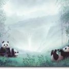 Panda Bears