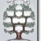 Family Tree