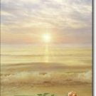 The Oceans's Rose II