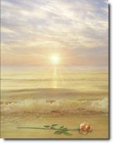 The Oceans's Rose II
