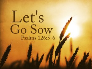 Let's Go Sow Graphic Set
