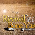 Revival In A Bone Yard Graphic Set