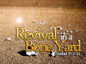 Revival In A Bone Yard Graphic Set