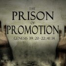 The Prison Of Promotion Graphic Set