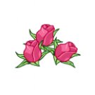 Bloomin' Roses (GOLD)