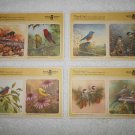 Boys Town - (x8) Cardboard Coasters - Birds - Wild Wings - Uncut - 2017