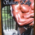 FABULOUS KNIGHTS by Sahara Kelly
