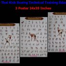 Muay Thai Kick Boxing Technical Training Education 3 Posters 24x35 Inches