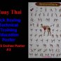 Muay Thai Kick Boxing Technical Training Education 3 Posters 24x35 Inches