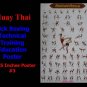 Muay Thai Kick Boxing Technical Training Education 3 Posters 24x35 Inches