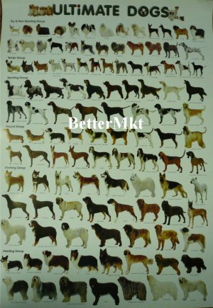 1 Sheet ULTIMATE DOGS Breeds Chart Educational POSTER 21.5x31 Inches