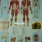 Human Body Biology Physiology Anatomy Medical Science Chart Educational POSTER 21.5x31 Inch
