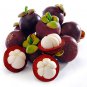 Mangosteen Peel Soap Natural Anti Bacterial Relieve Skin Irritation Acne Rash