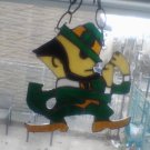 Fighting Irish Fellow