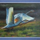ART oil painting sale signed animals Swan 24"