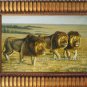 36" ORIGINAL OIL ON CANVAS SIGNED ANIMAL LION ON SALE