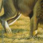 36" ORIGINAL OIL ON CANVAS SIGNED ANIMAL LION ON SALE