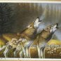36"SALE ORIGINAL OIL ON CANVAS SIGNED ANIMAL Wolf