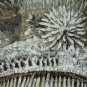 ORIGINAL OIL PAINTING MIAO NATION GIRE SIGNED ON SALE