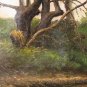 OIL PAINTING HAND PAINTED a creek ART ON SALE LANDSCAP