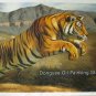 SALE handmade OIL ON CANVAS A tiger stalks his prey-NR