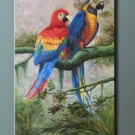 Oil painting On Canvas Art Sale 61x91cm-Parrots Animal