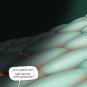 Å¡! #39 'The End'