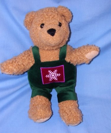 teddy bear with green overalls