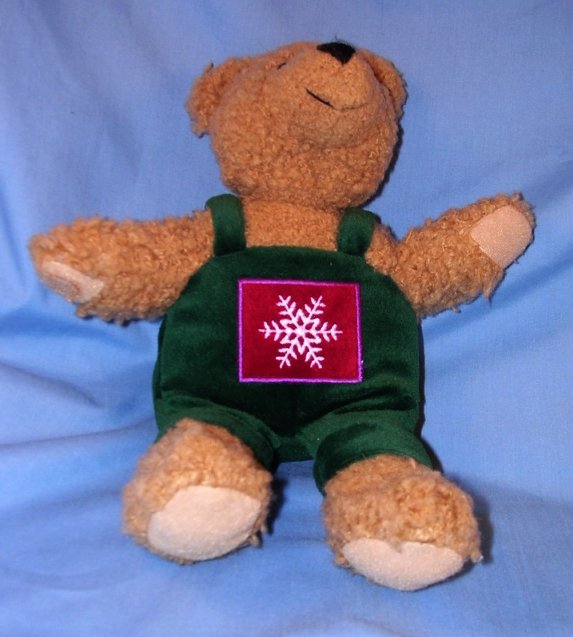 teddy bear with green overalls