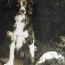 SHEEPDOG ORIGINAL Border Collies Cumbria Watercolour