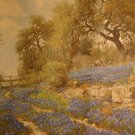 Country Bluebonnets(Lithograph) By Porfirio Salinas