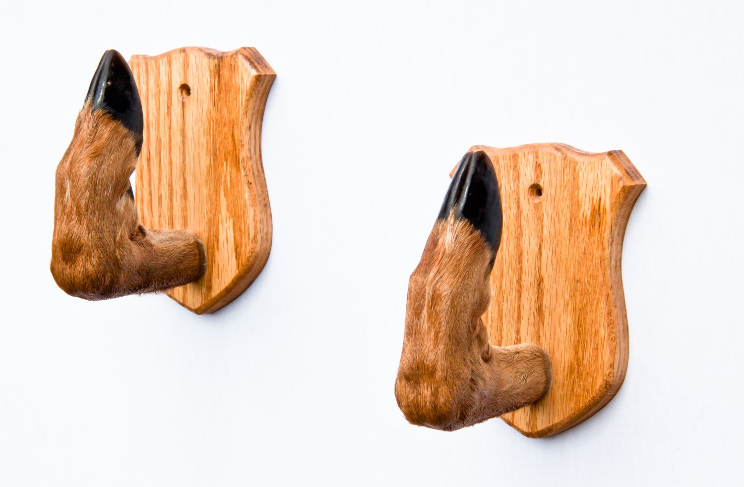 Oak Deer Feet Gun Rack Hoof Foot Hooves