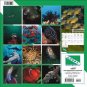 2007 CORAL REEF ALLIANCE WALL CALENDAR ((EXPIRED 2007))