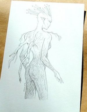 Wizards of the Coast Original ART #11 nice Wood Fairy