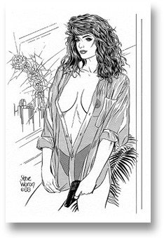 Steve Woron's SIGNED Hero & Heroine Beautiful PORTFOLIO